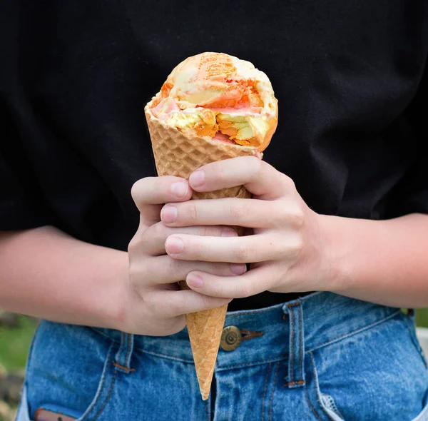 Ovocná zmrzlina v rukou dívky. Pohled zepředu. — Stock fotografie