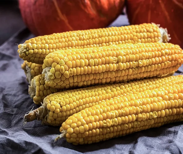 Fresh corn on grey linen napkin and pumpkin in background — Stock Photo, Image