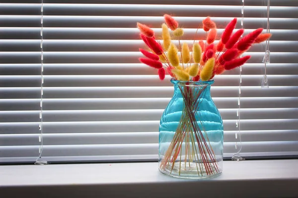 Lagurus seco rojo y amarillo en un jarrón de vidrio en el alféizar de la ventana con persianas. — Foto de Stock