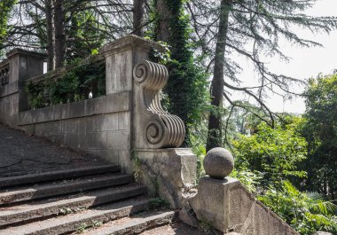 Yeşil bitki örtüsünün arka planında dekoratif elementler olan antik merdivenler