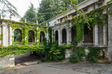 RUSSIA, SOCHI - 25 Temmuz 2020: Güneşli bir yaz gününde tropikal bitki örtüsüyle adını Sergo Ordzhonikidze 'den alan sanatoryumun güzel eski binası. 