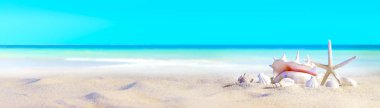 deniz kabuklarını Sandy plaj / deniz kıyısı, plaj tatil tatil arka plan