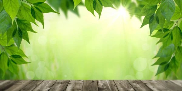 Verde Deixa Dossel Sobre Fase Madeira Tabela Com Luz Solar — Fotografia de Stock