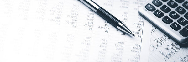 Бухгалтерский учет - Ручка с бизнес-счетом
