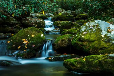 Dumanlı dağ dere yosunlu kayalar ile