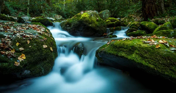 Smoky Mountain Arroyo Con Rocas Musgosas — Foto de Stock