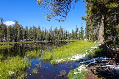 Yosemite dağ gölü