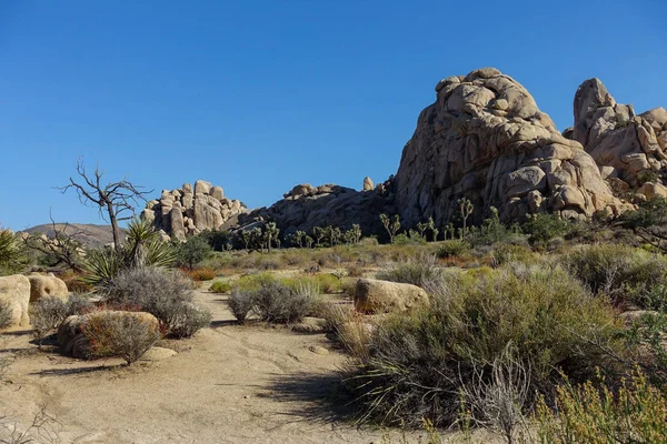 Sabahın erken saatlerinde Kaliforniya çölü