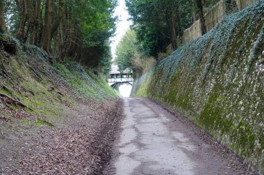 Yüksek banked İngilizce ülke şeritli