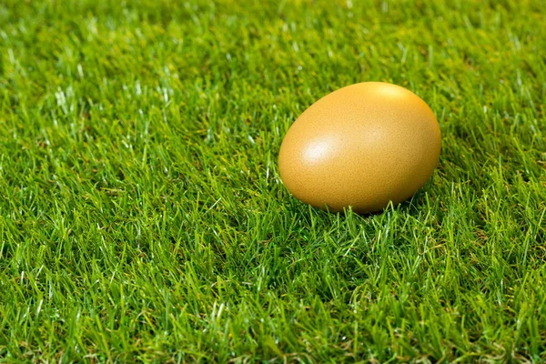 Eggs Placed Artificial Grass — Stock Photo, Image