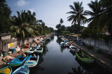 Negombo kanalda Flamanca