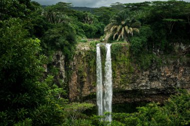 Chamarel şelale tropikal ada ormanda. Mauritius