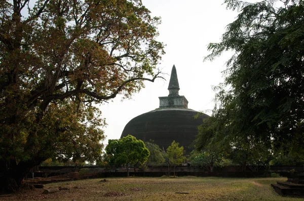 El Vatadage Polonnaruwa - antigua estructura budista. Unesco antigua ciudad de Polonnaruwa, Sri Lanka — Foto de Stock