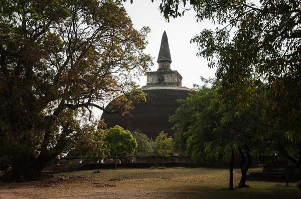 El Vatadage Polonnaruwa - antigua estructura budista. Unesco antigua ciudad de Polonnaruwa, Sri Lanka — Foto de Stock