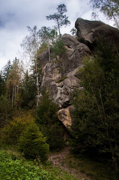 Rocks amidst beautiful scenic forests in Carpathian Mountains, Ukraine — Stock Photo, Image
