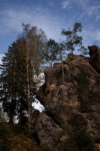 Rocks amidst beautiful scenic forests in Carpathian Mountains, Ukraine — Stock Photo, Image