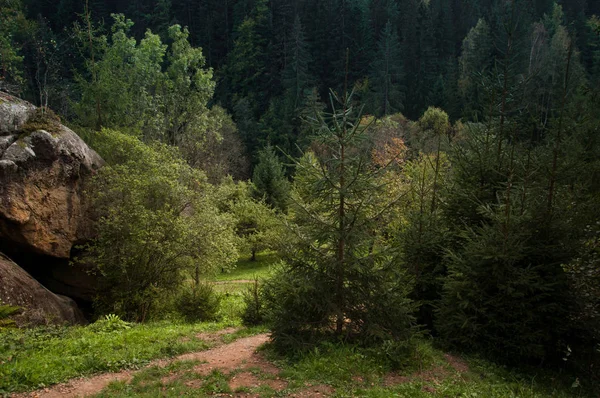 Βράχοι μέσα σε όμορφα γραφικά δάση στα Καρπάθια Όρη, Ουκρανία — Φωτογραφία Αρχείου