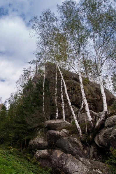 Rocks amidst beautiful scenic forests in Carpathian Mountains, Ukraine — Stock Photo, Image