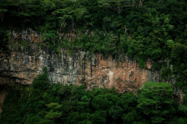 Chamarel şelale tropikal ada ormanda. Mauritius