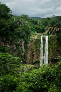 Chamarel şelale tropikal ada ormanda. Mauritius
