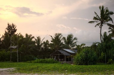 Koggala, Sri Lanka' da sahil şeridinin görünümü, Hint' teki kayalar