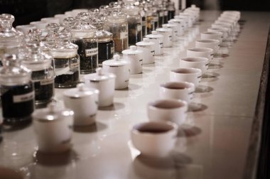 Çay fabrikası, handunugoda arazisi. Sri Lanka, Ahangama