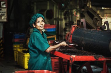 Çay fabrikası, geragama arazisi. Sri Lanka, Kandy