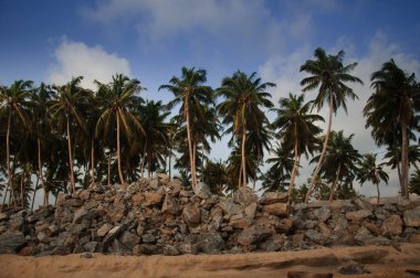 Marawila, Sri Lanka'da sahil şeridinin görünümü, Hint okyanusundaki kayalar