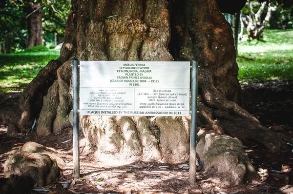 De Royal Botanic Gardens. Kandy, Sri Lanka — Stockfoto