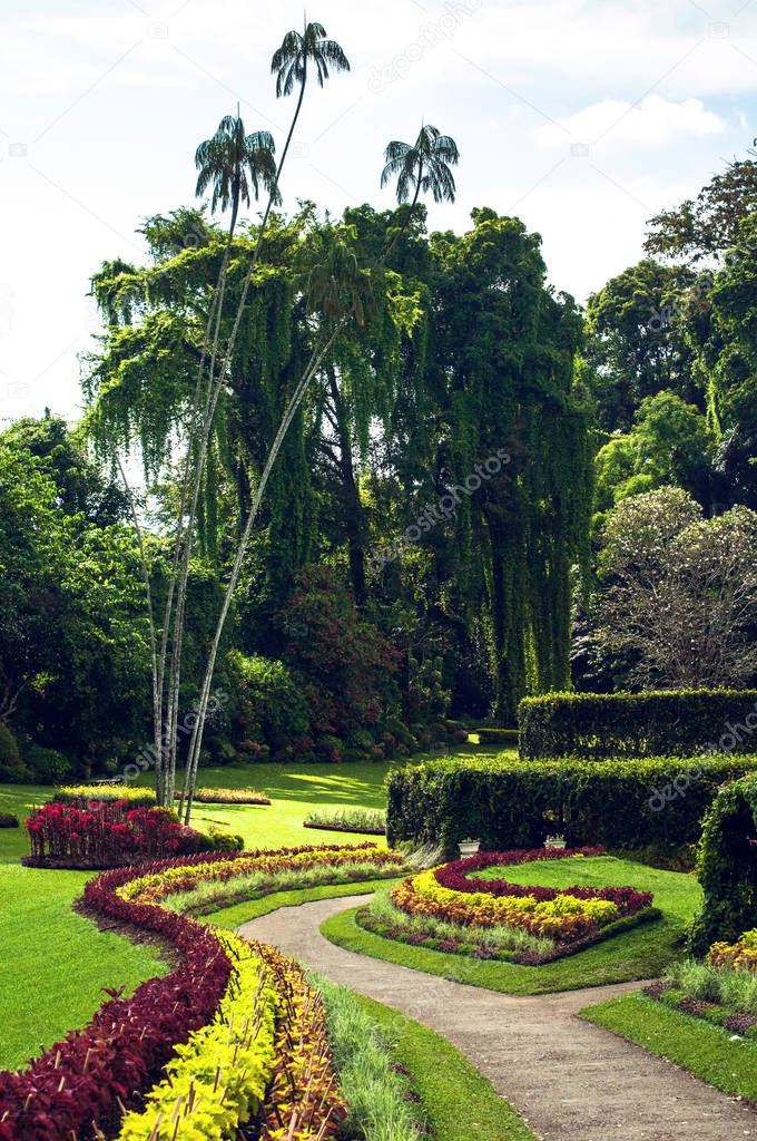 The Royal Botanic Gardens. Kandy, Sri Lanka