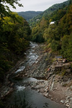 Karpat Dağları'ndaki güzel doğal ormanlar, Ukrayna