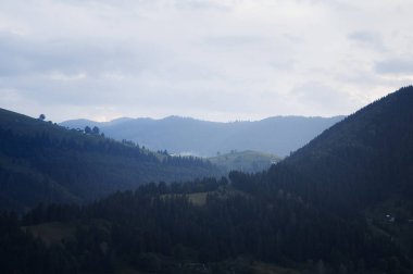 Karpatlar, Ukrayna'da tthe güzel pitoresk dağlar
