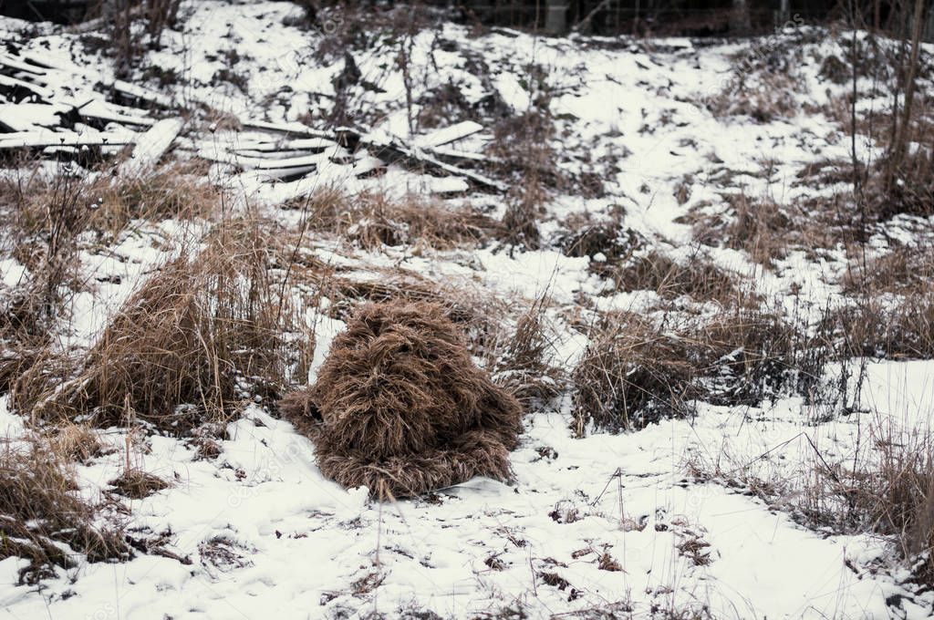 Ghillie - camouflage for snipers and intelligence agents