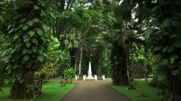 毛里求斯西乌萨古尔·拉姆古兰爵士植物园 — 图库照片