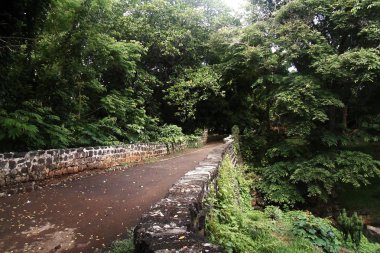 Mauritius Sir Seewoosagur Ramgoolam Botanik Bahçesi