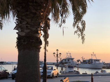 Bahar doğa, yeşil ve wight çiçek 