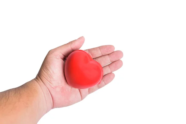 El concepto de amor o salud, con un corazón rojo en la mano. Expandir — Foto de Stock