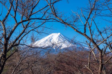Fuji Dağı'nın görünümü, yaygın olarak Japonca Fuji san olarak adlandırılan, Mount 