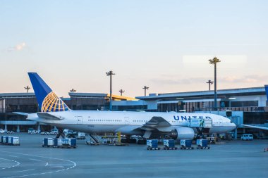 Chiba, Japonya - 24 Mart 2019: United Airlines uçağının görünümü, a 