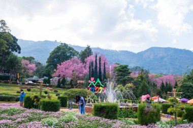 Chiang Mai, Tayland - 26 Ocak 2019: Chiang Mai, Tayland'da Doi Inthanon'un yamaçlarında tarım için bir araştırma istasyonu olan Khun Wang Royal Project'te çeşme ile eğlenen insanların görünümü. 