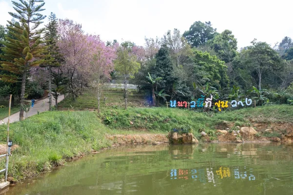 Chiang Mai, Tayland - 26 Ocak 2019: Khun Wang Royal Project'teki gölün görünümü, Chiang Mai'deki Doi Inthanon'un yamaçlarında tarım için bir araştırma istasyonu, Tayland. — Stok fotoğraf