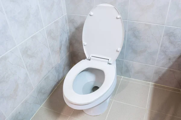 Background of clean old ceramic  toilet inside the bath room, re — Stock Photo, Image