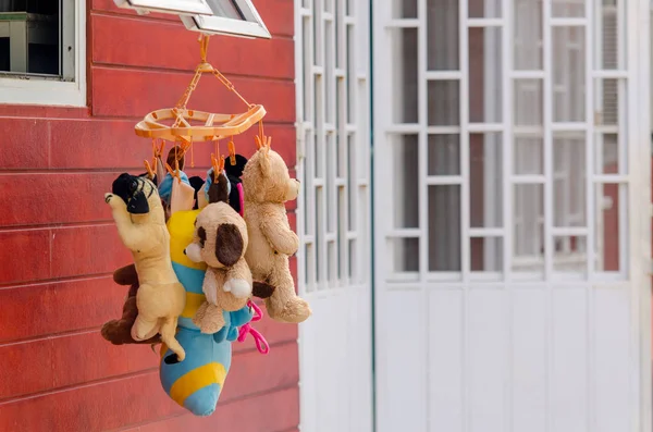 Yıkandıktan Sonra Birçok Oyuncak Bebek Pencerelere Asıldı — Stok fotoğraf