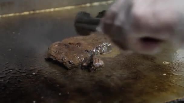 Close View Professional Cook Hand Turns Frying Meat Sauce Metal — Stock Video