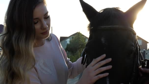 Rubia de pelo largo dama mascotas marrón caballo cabeza primer plano — Vídeo de stock