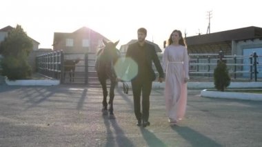 güneş yavaş hareket ile aydınlatılmış yarış pistinde at yürüyüşleri ile çift