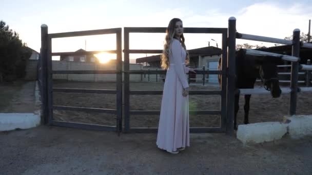 Женщина в длинном розовом платье стоит возле лошади у деревянного забора — стоковое видео
