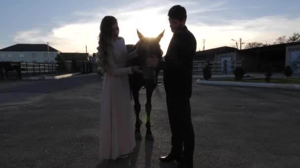 Young couple pets horse head on race track slow motion — Stock Video