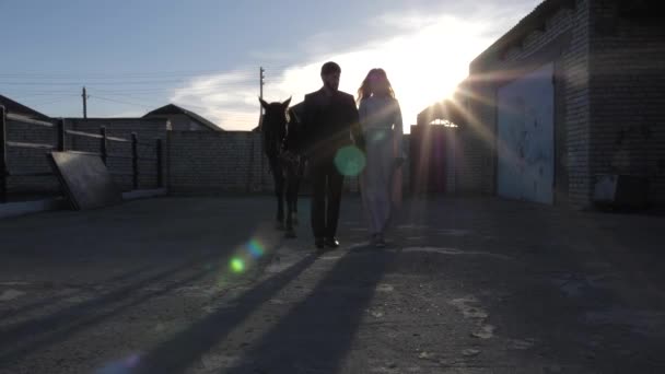 Man silhouet houdt jonge vrouw en wandelingen met paard — Stockvideo