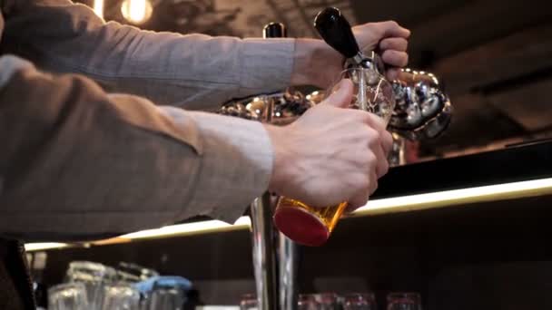 茶色のシャツの手で熟練したバーテンダーは レストランの木製バーでガラスゴブレットにビールを注ぎます — ストック動画